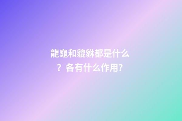 龍龜和貔貅都是什么？各有什么作用？
